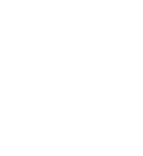 Logo Fondazione Qigong Li Xiaoming FIMI